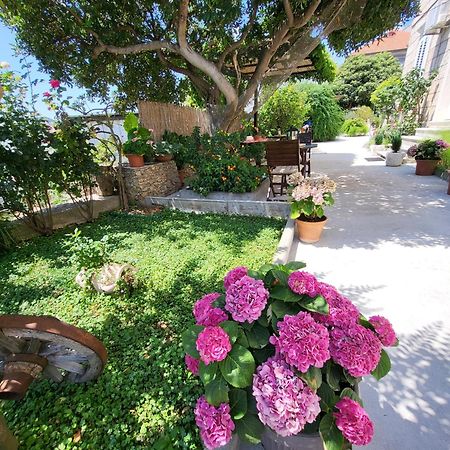 דוברובניק Apartments Miljas מראה חיצוני תמונה