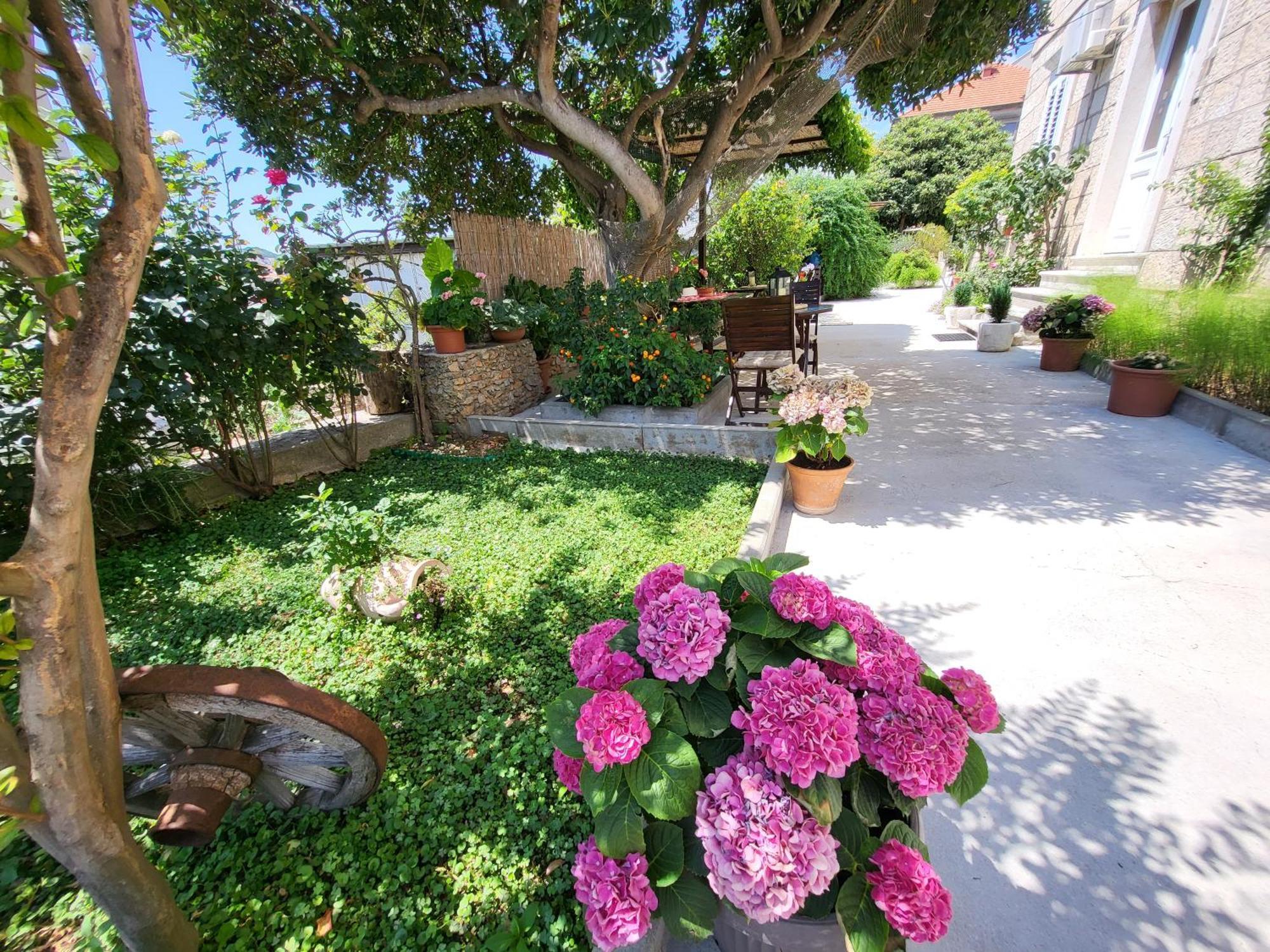 דוברובניק Apartments Miljas מראה חיצוני תמונה